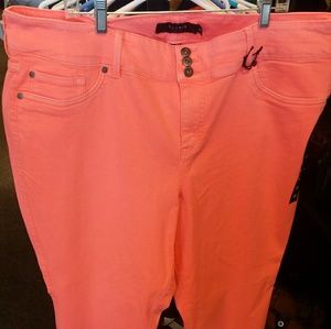 Torrid jeans